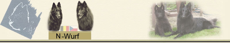 N_Wurf_Banner2011